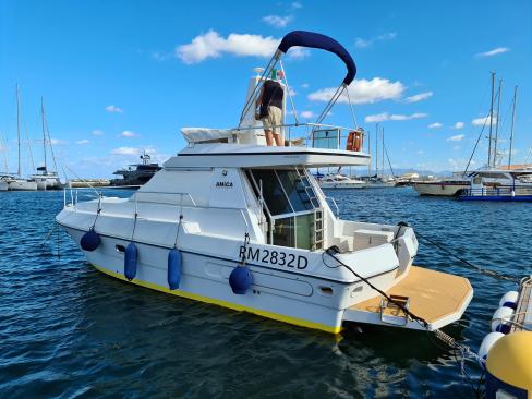 FLY  CLANSHIP 34 DELLA COMAR Y