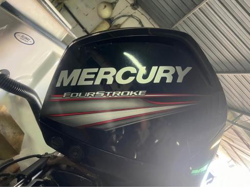 2017 Mercury 100 efi ct