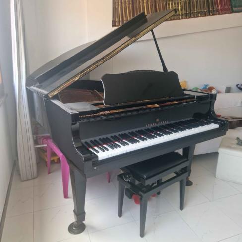 Pianoforte a  mezza coda