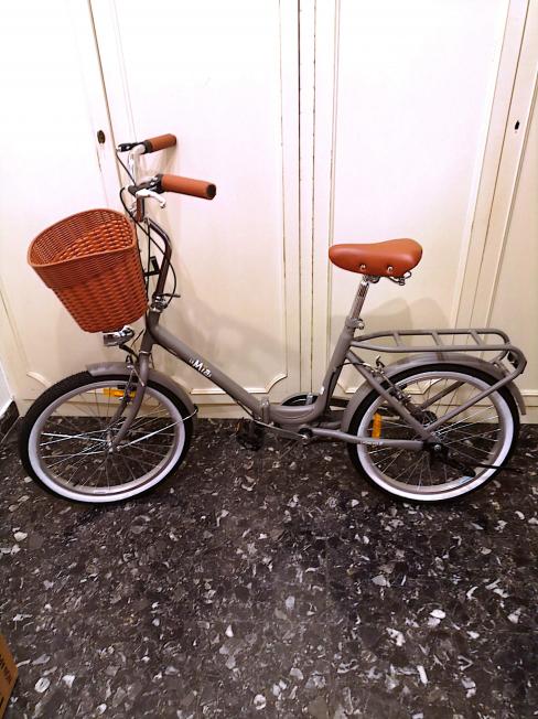 Bicicletta pieghevole